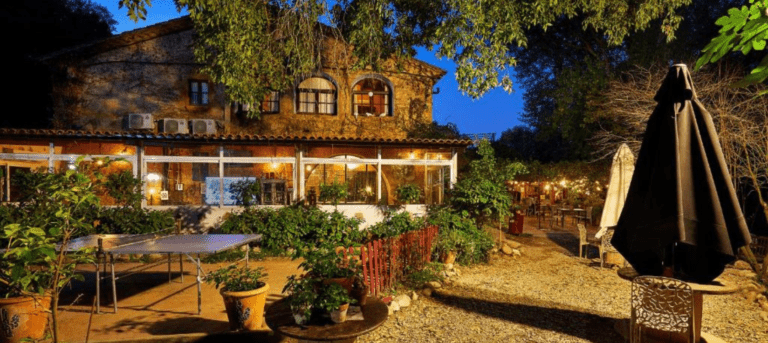 Planes perfectos de  Navidad con tu perro