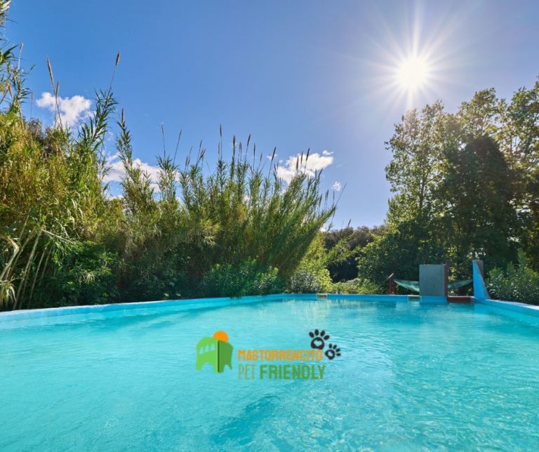 Hotel Pet-Friendly amb Piscina