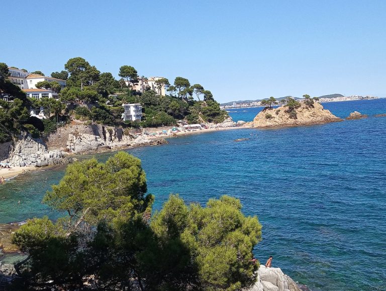 Les millors cales per a gossos a la Costa Brava